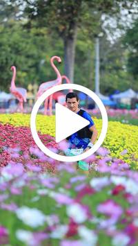 BIB:  <button type="button" onclick="openModal(27583182)" class="btn btn-primary btn-sm float-right" data-toggle="modal" data-target=".modal-high-quality">
                <i class="fa fa-download"></i> Download
                </button>